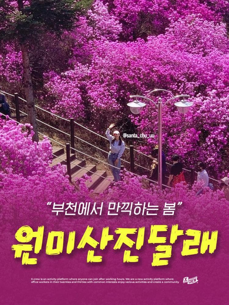 배너