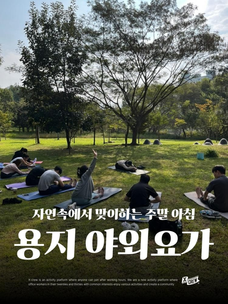 배너