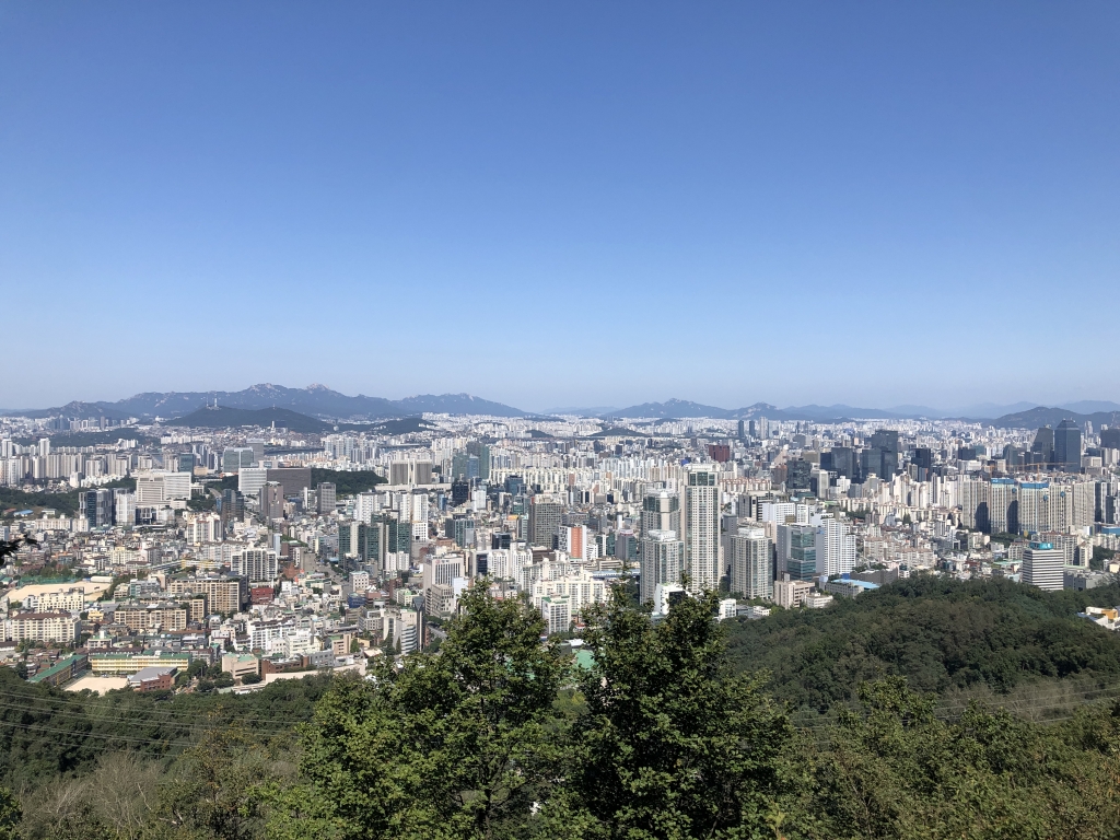 구룡산5.JPG