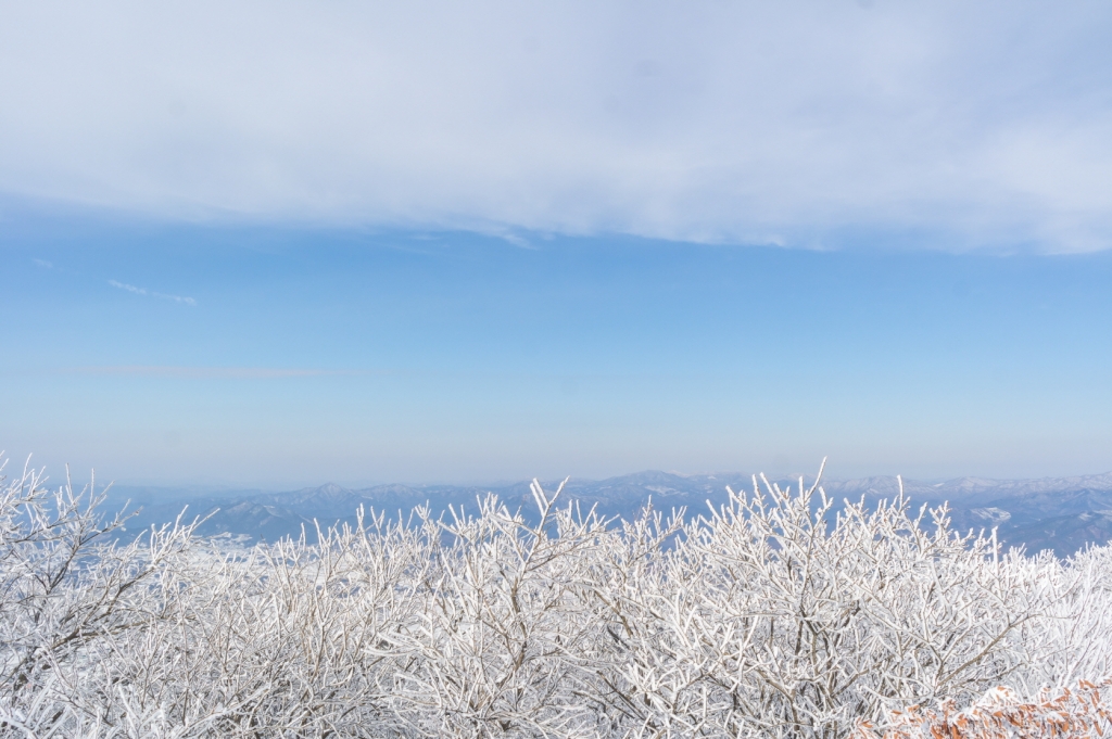바래봉사진 (3).jpg