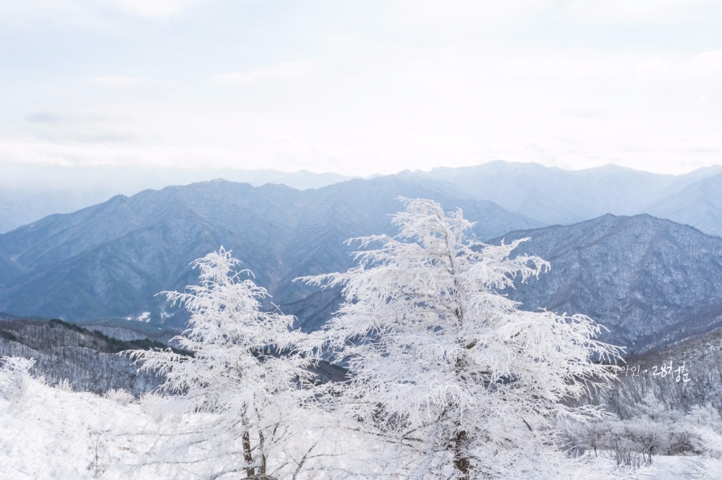 바래봉사진 (9).jpg