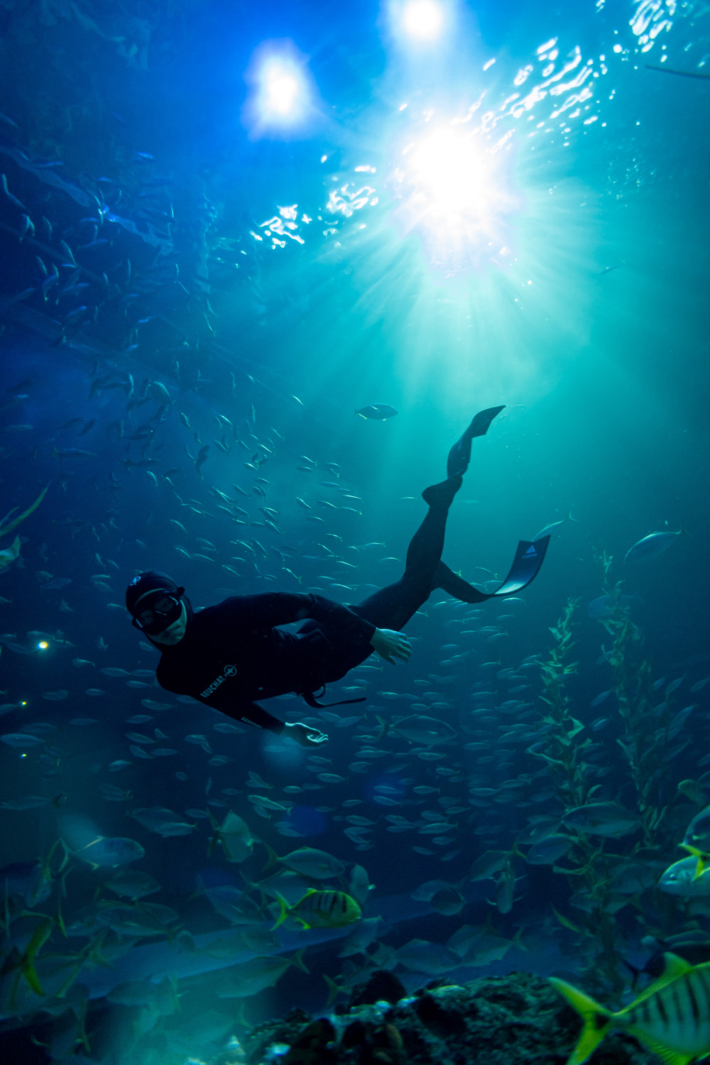 수정됨_ 강대국 2.jpg