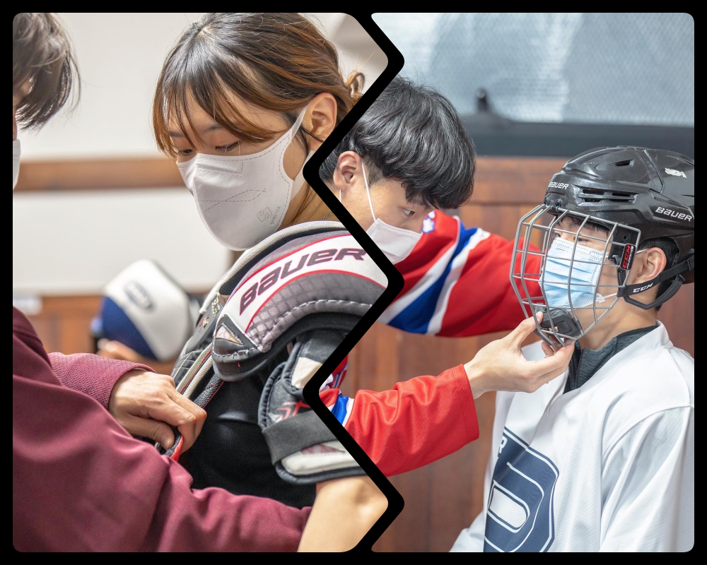 collage.png